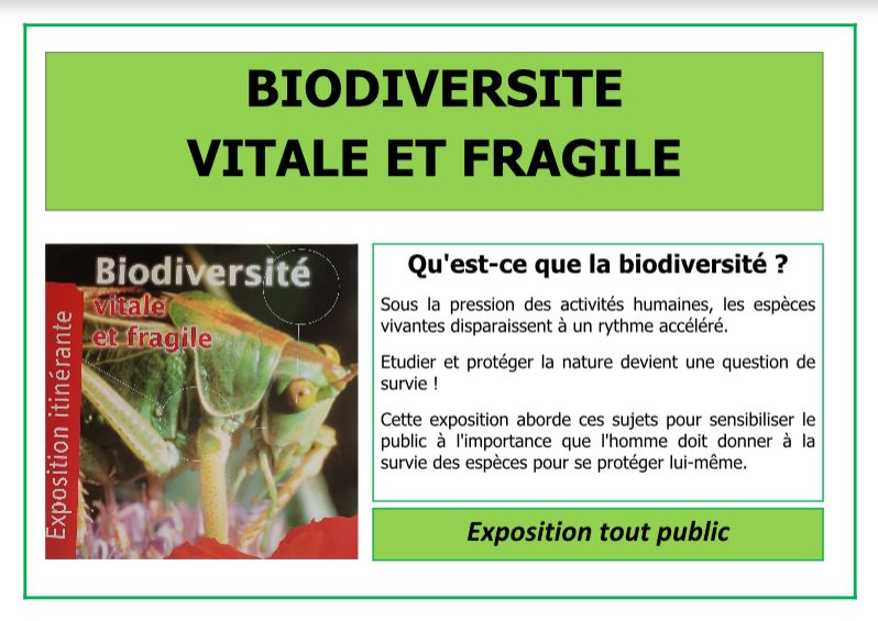 Expo Sancergues Biodiversité